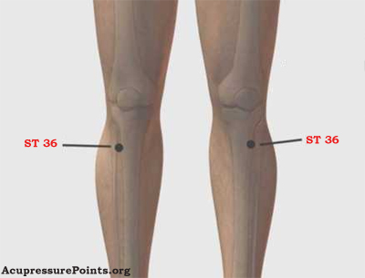 kneecap st36 stomach pressure point for constipation